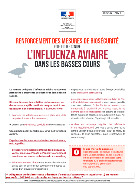 Capture d’écran flyer influenza